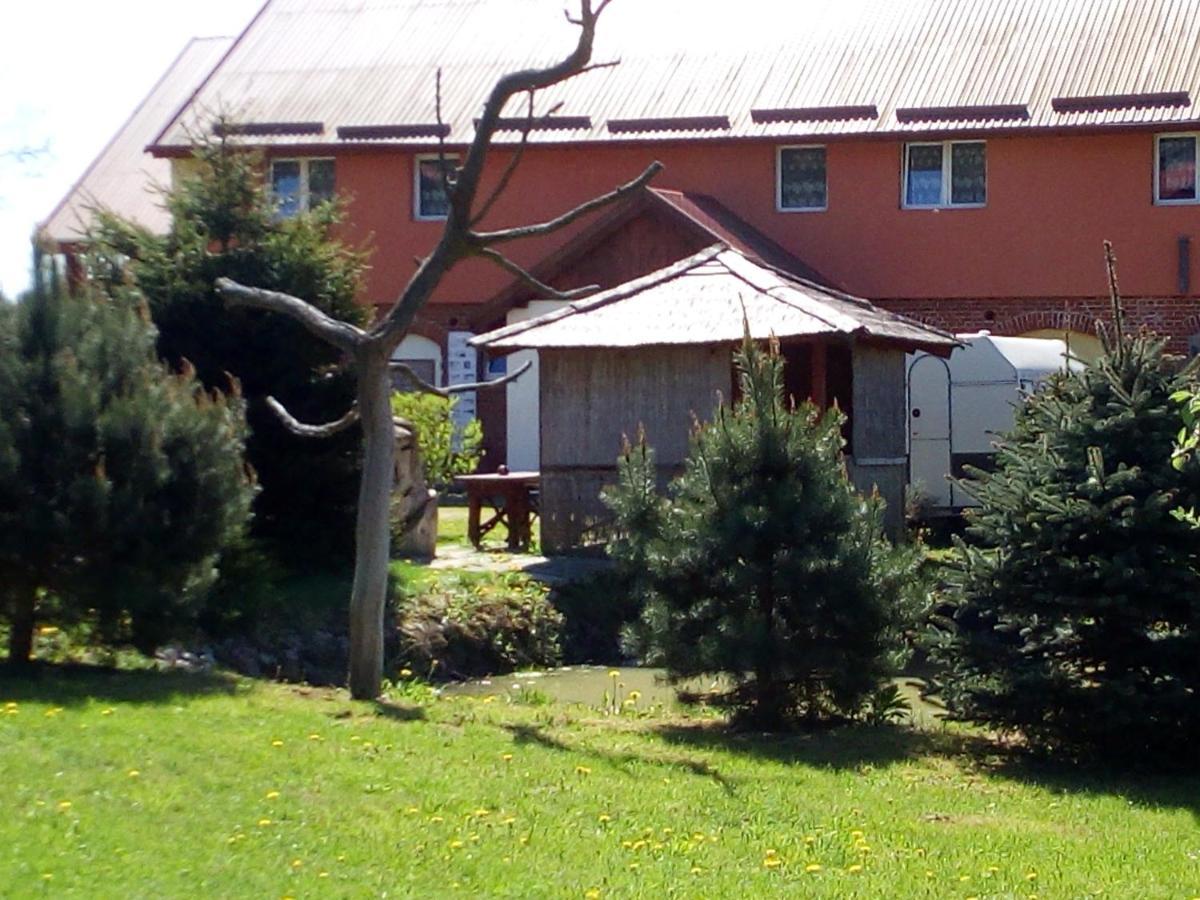 Andrzejowka Farm stay *