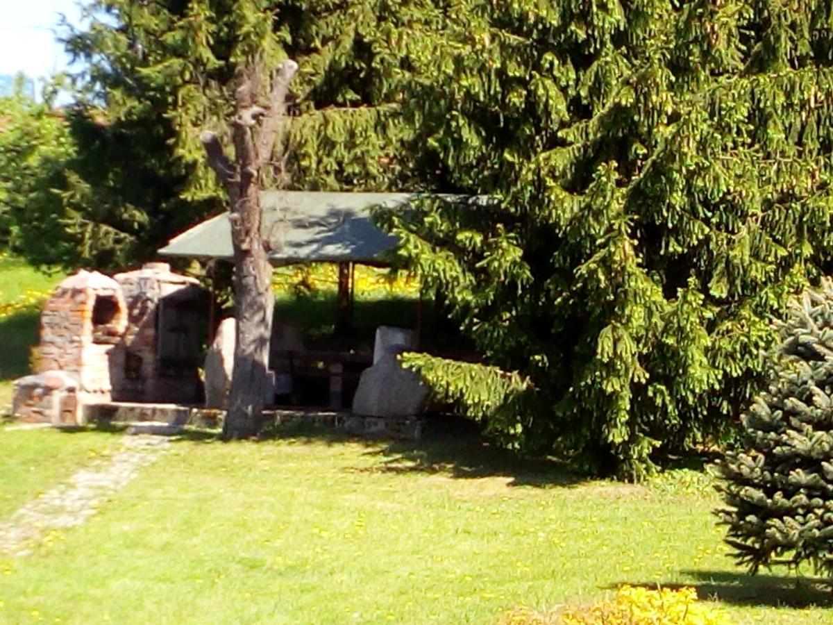 Andrzejowka Czerniki